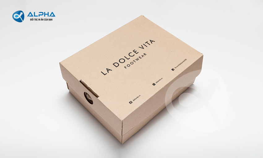 Mẫu thiết kế hộp đựng giầy Docevita